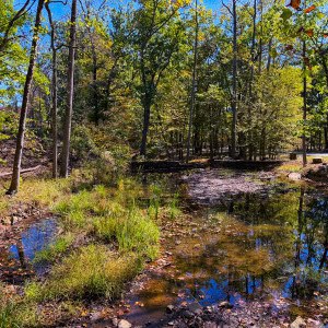 Cacapon State Park photo