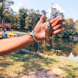 Cacapon State Park photo