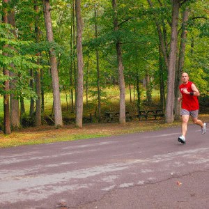Cacapon State Park photo