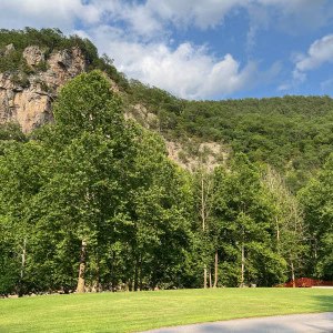 Harman’s Luxury Log Cabins photo